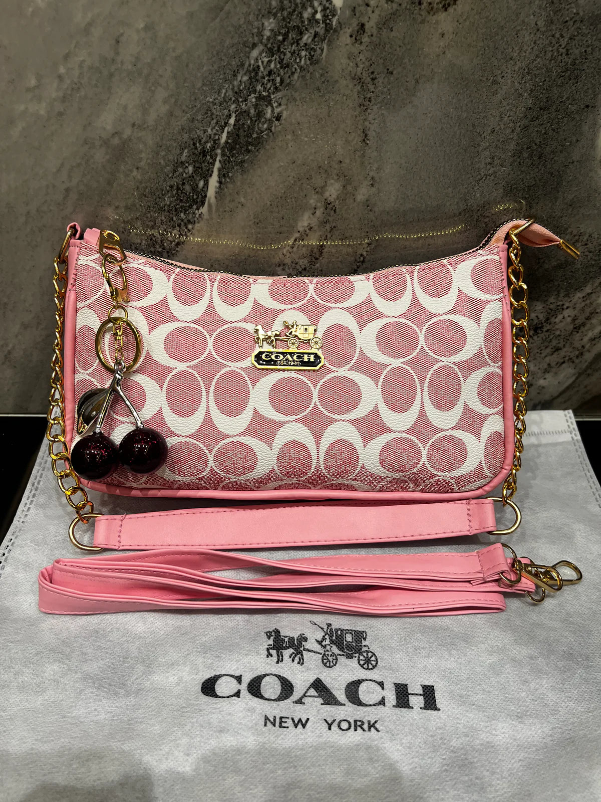 COACH TERI SHOULDER BAG
